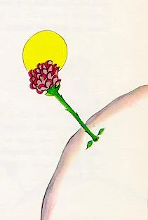 小王子第8章 1 小王子第8章