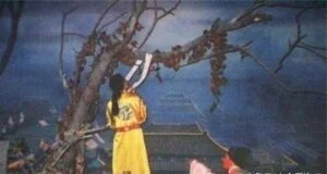 个人感悟:主观恶意与信息蒙蔽的辩证审视 3 明朝崇祯皇帝